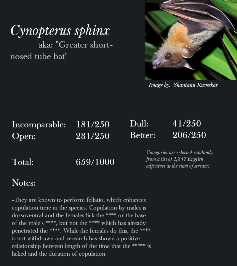 Cynopterus sphinx